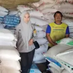 Stok Pupuk Subsidi Melimpah